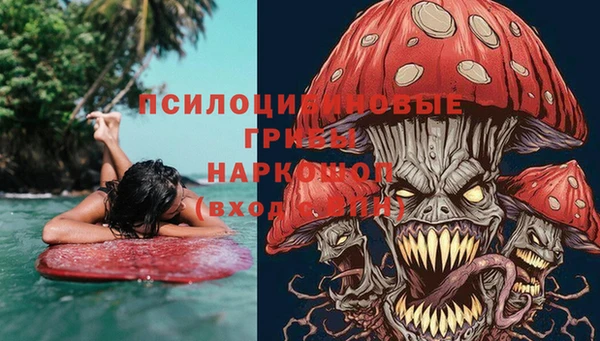 герыч Новодвинск