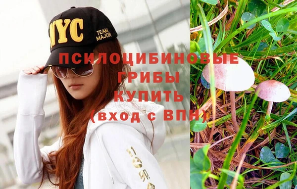 MDMA Premium VHQ Нея