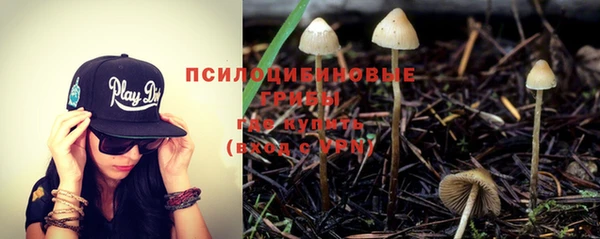 молекула духа Новокубанск