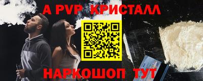 спиды Гай