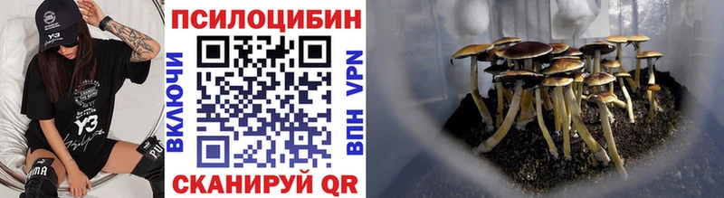 Псилоцибиновые грибы Psilocybe  Волгоград 